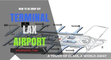 Navigating LAX: Your Guide to Stress-Free Terminal Drop-Offs