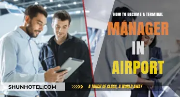 Ascend to New Heights: Your Guide to Becoming an Airport Terminal Manager