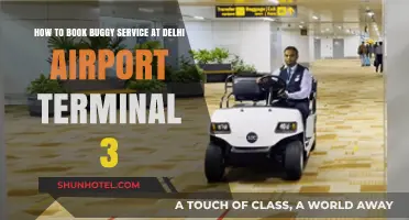 Effortless Buggy Booking at Delhi Airport Terminal 3: A Step-by-Step Guide