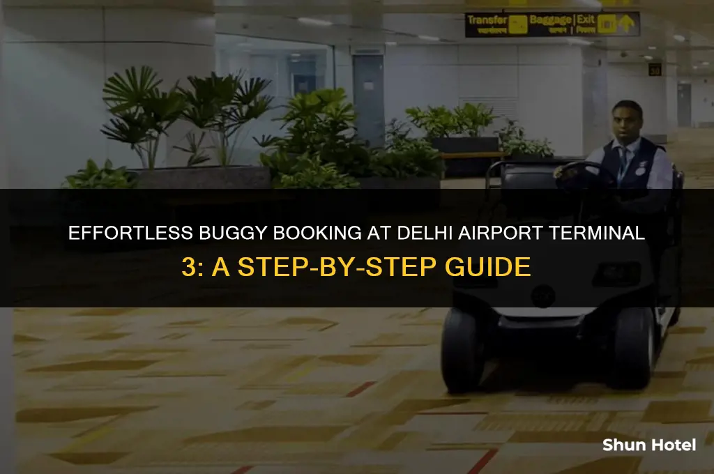 how to book buggy service at delhi airport terminal 3