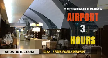 Quick Guide: Booking Dubai International Airport 3-Hour Layover