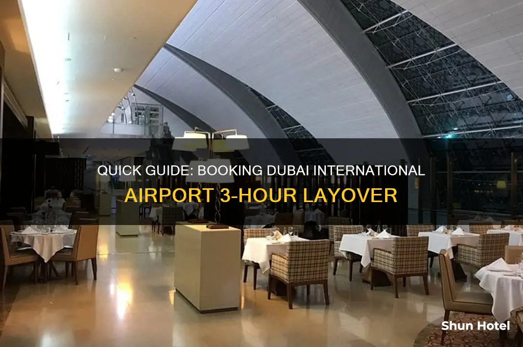 how to book dubaie international airport 3 hours