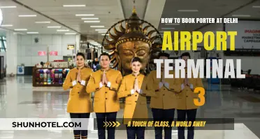 Delhi Airport Terminal 3: Your Guide to Booking a Porter