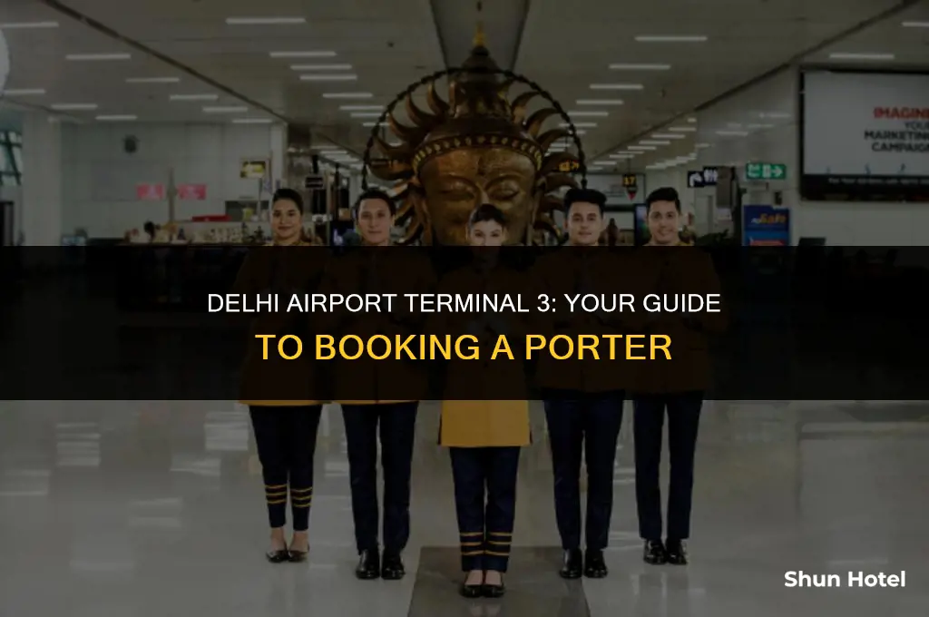 how to book porter at delhi airport terminal 3