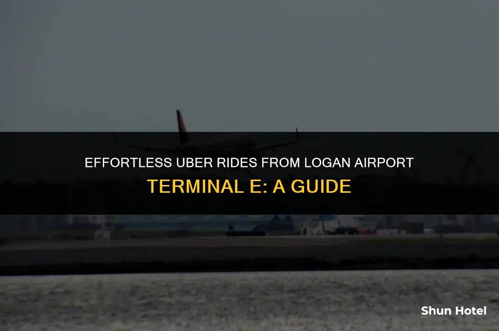 how to call an uber at logan airport terminal e