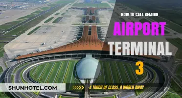 Navigating Beijing Airport Terminal 3: Your Essential Contact Guide