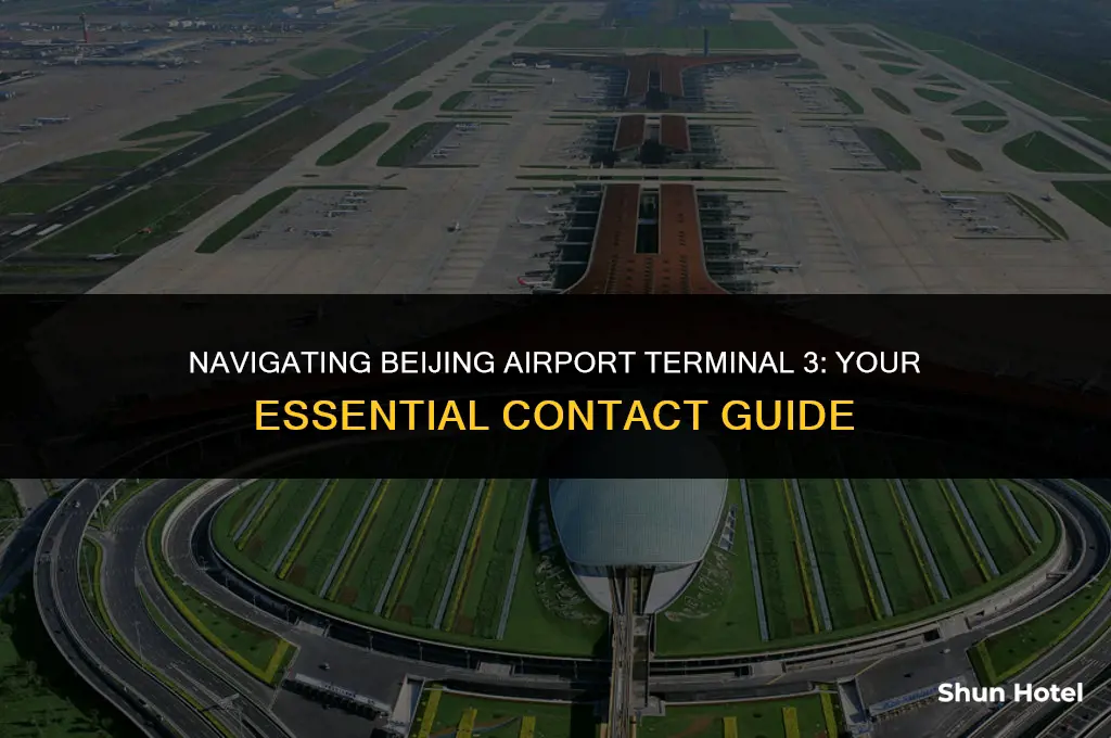 how to call beijing airport terminal 3