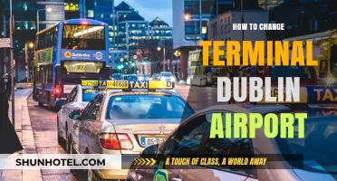 Seamless Terminal Transfers at Dublin Airport: Your Comprehensive Guide