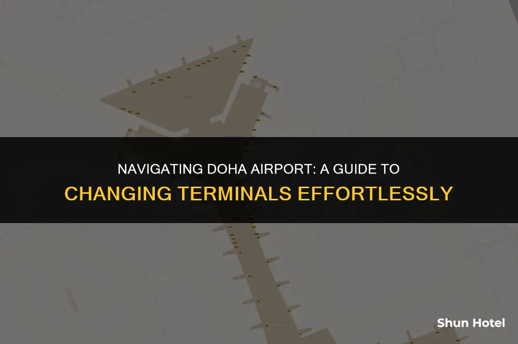 how to change terminal in doha airport