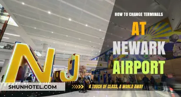 Navigating Newark Airport: A Guide to Terminal Transfers