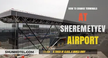 Navigating Shereemetyevo: A Guide to Changing Terminals Hassle-Free