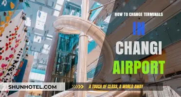Navigating Changi Airport: A Guide to Changing Terminals Effortlessly