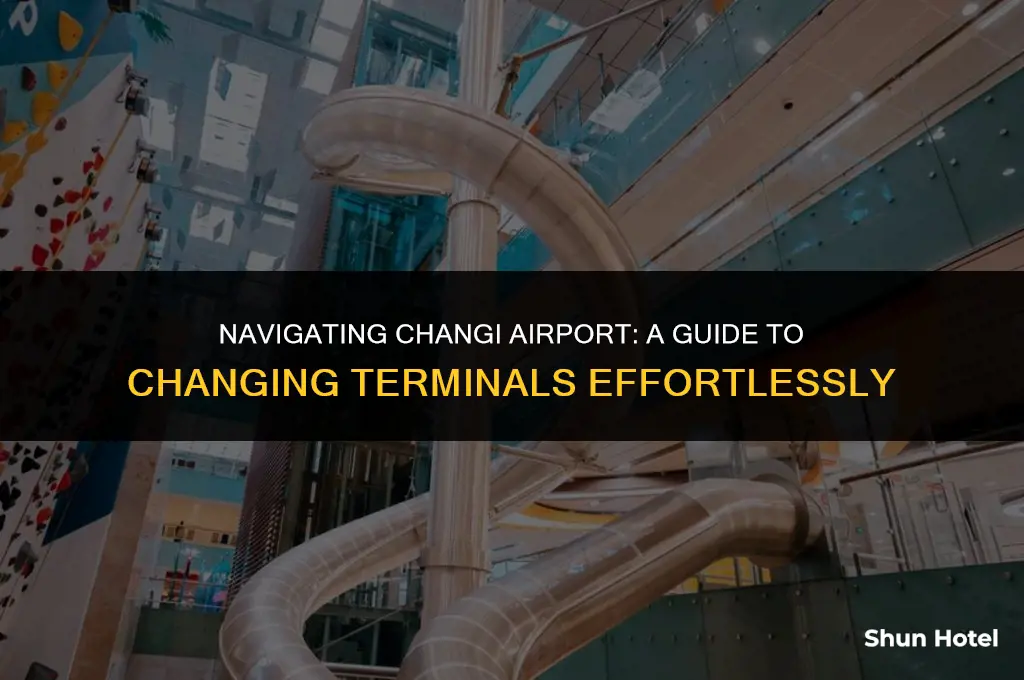 how to change terminals in changi airport