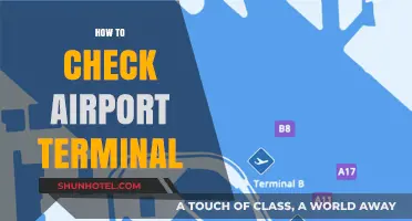 Navigating Your Journey: A Guide to Checking Airport Terminals