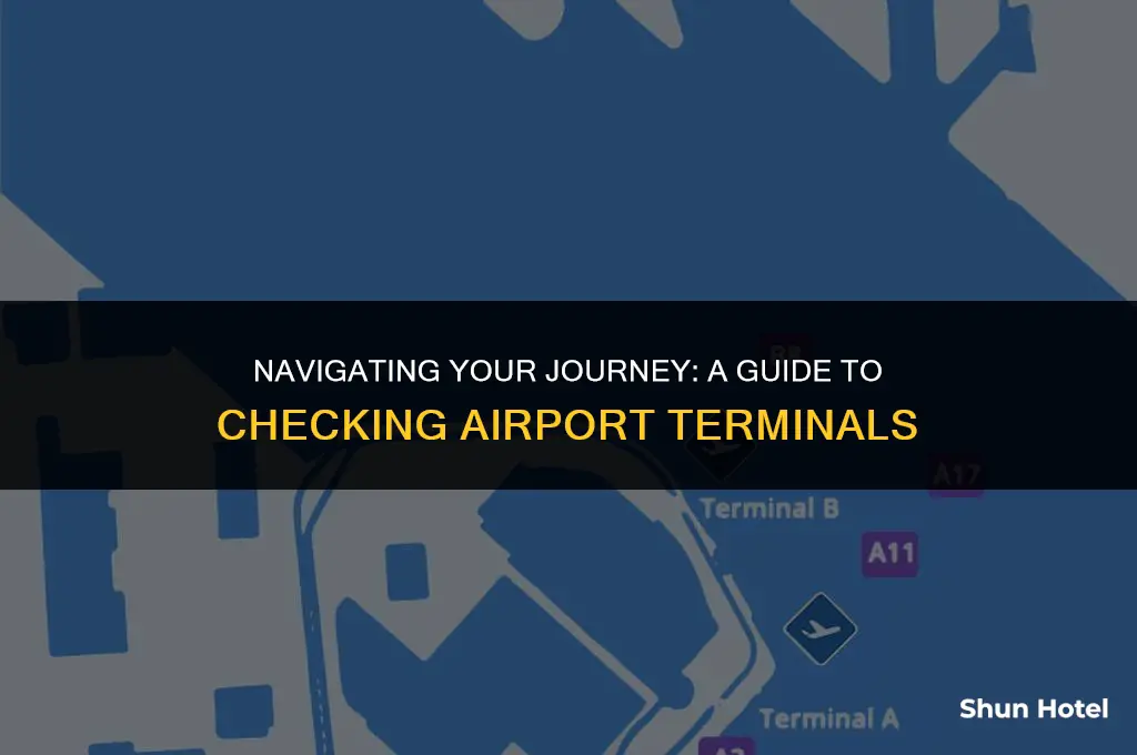 how to check airport terminal