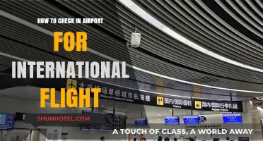 Mastering International Flight Check-In: A Step-by-Step Airport Guide