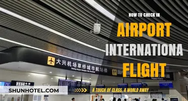 Mastering International Flight Check-In: A Step-by-Step Airport Guide