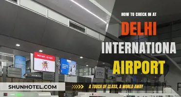 Delhi Airport Check-In Guide: Smooth Process for International Flights
