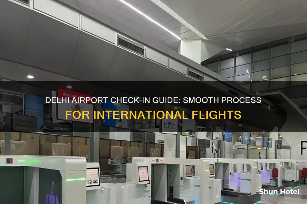 how to check in at delhi international airport