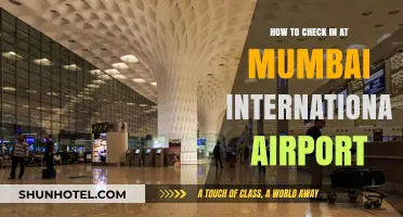 Effortless Mumbai International Airport Check-In Guide for Smooth Travel