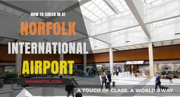 Effortless Norfolk International Airport Check-In Guide: Tips and Steps