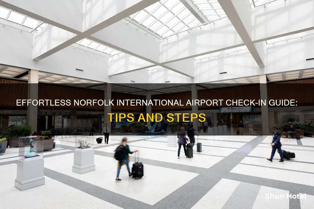 how to check in at norfolk international airport