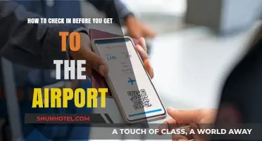 Pre-Flight Prep: Smart Tips for Checking In Before the Airport