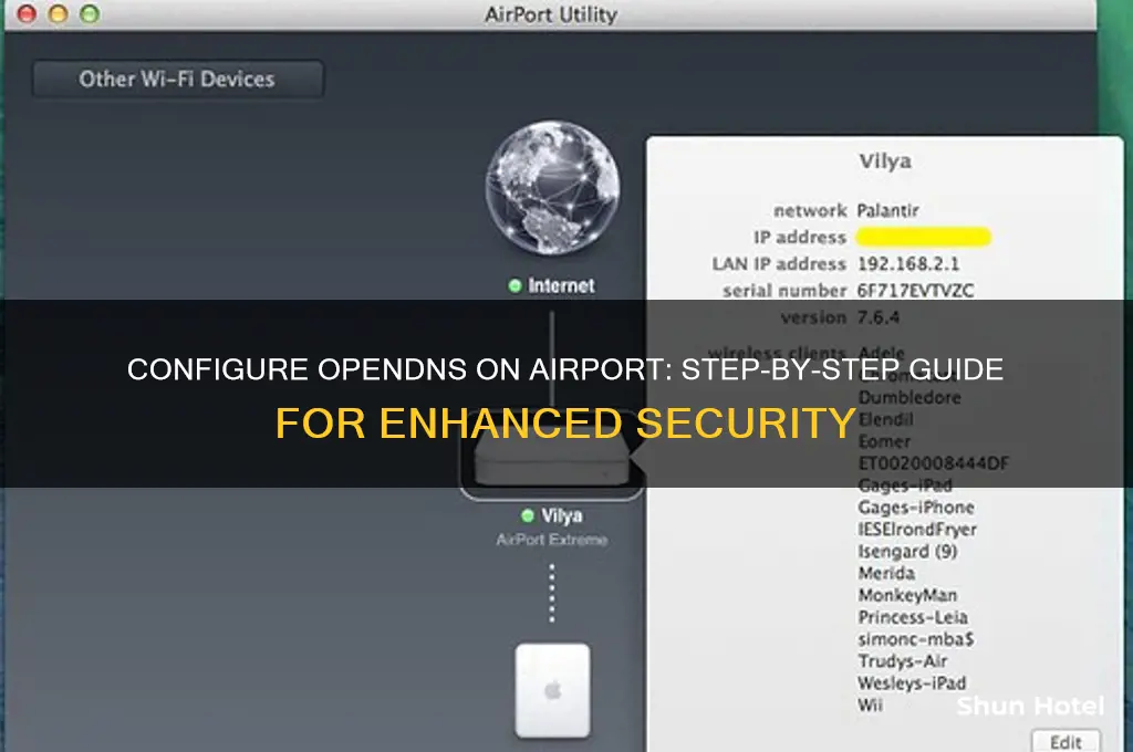 how to configure open dns on airport