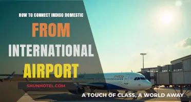 Connecting Indigo Domestic Flights from International Airports: A Step-by-Step Guide