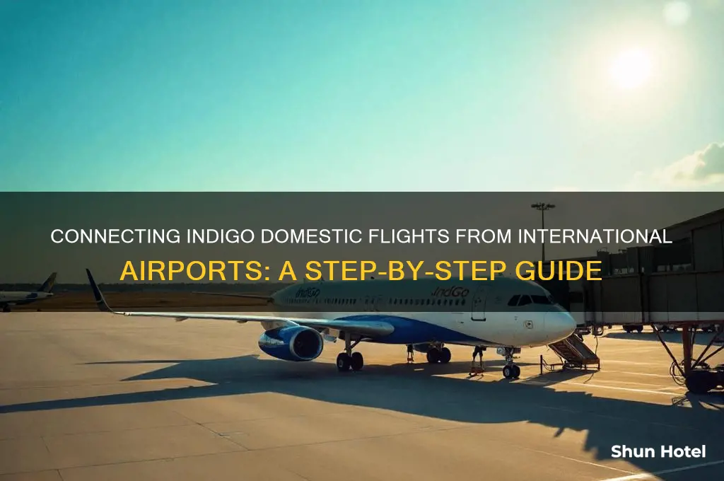 how to connect indigo domestic from international airport