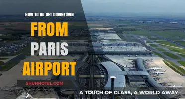 Easy Travel Tips: Navigating from Paris Airport to Downtown