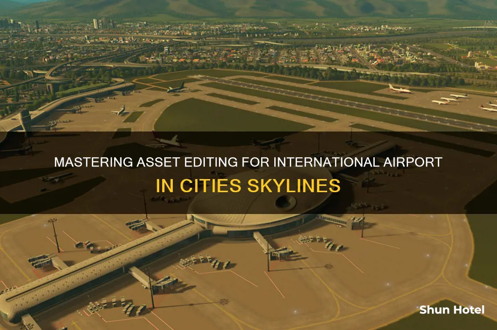 how to edit asset international airport cities skylines