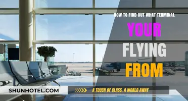 Quick Guide: Identifying Your Departure Terminal at the Airport