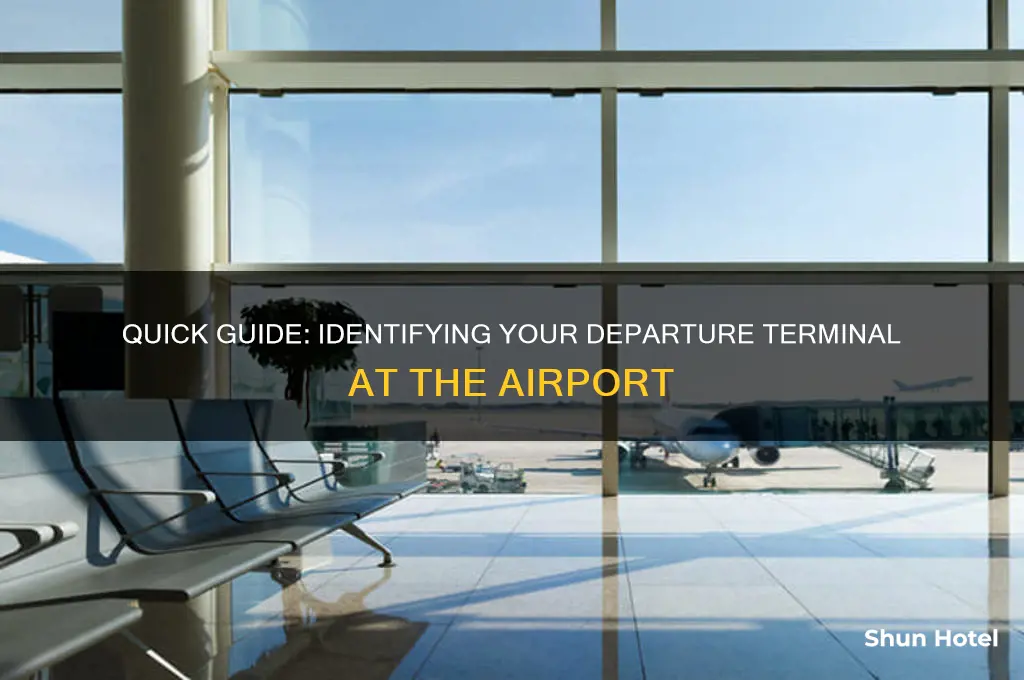 how to find out what terminal your flying from