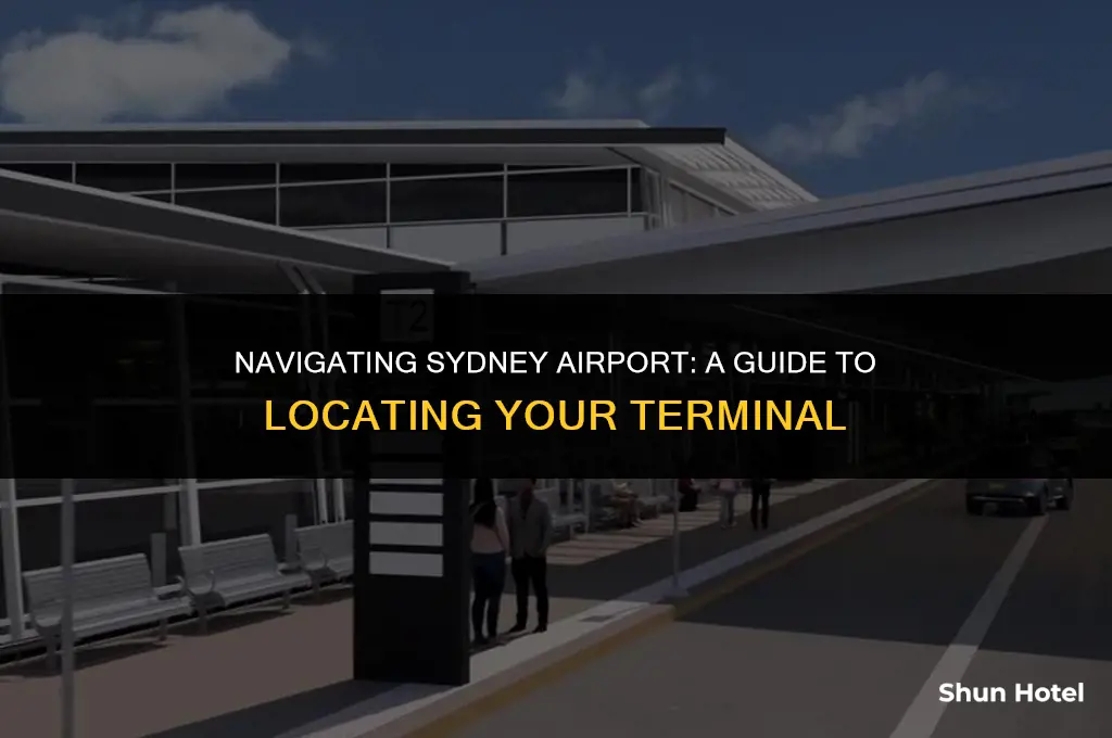 how to find which terminal ill arrive in sydney airport