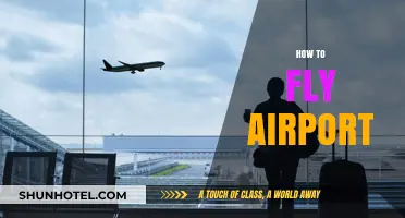 Mastering Airport Navigation: A Beginner's Guide to Stress-Free Flying