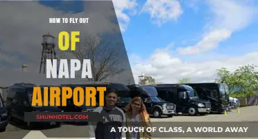 Your Ultimate Guide to Flying Out of Napa Airport Easily