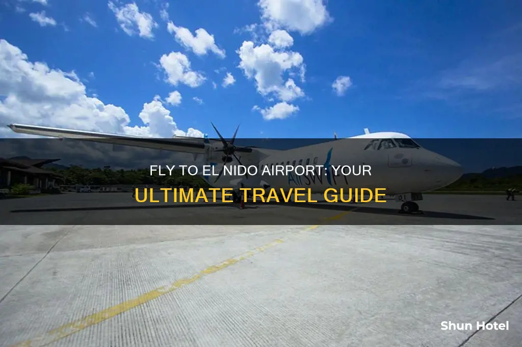 how to fly to el nido airport