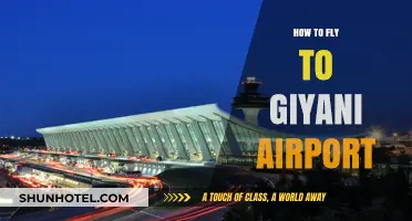 Your Ultimate Guide to Flying into Giyani Airport, South Africa