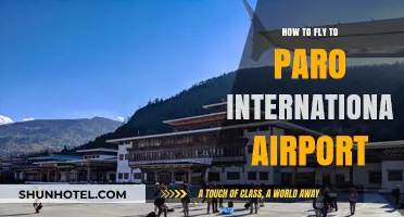 Your Ultimate Guide to Flying into Paro International Airport