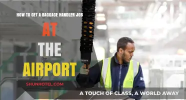 Secure Your Airport Baggage Handler Job: Essential Tips and Steps
