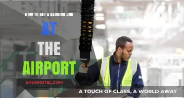 Secure Your Airport Baggage Handler Job: Essential Tips and Steps