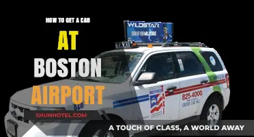 Easy Guide to Catching a Cab at Boston Airport Quickly