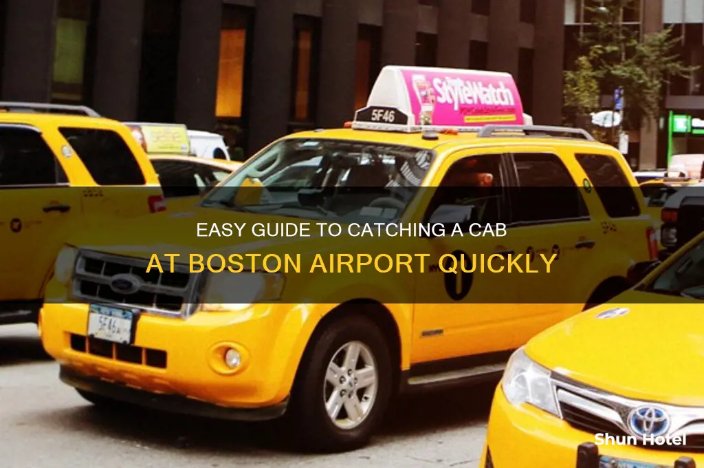 how to get a cab at boston airport