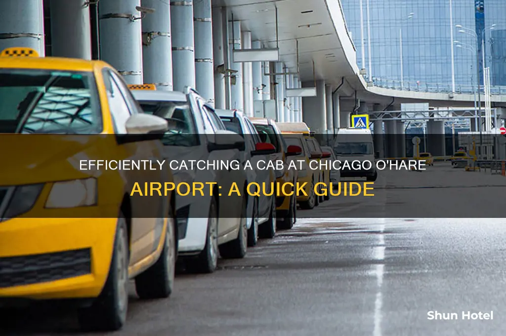 how to get a cab at chicago ohare airport