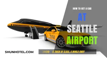 Quick Guide to Catching a Cab at Seattle Airport Easily