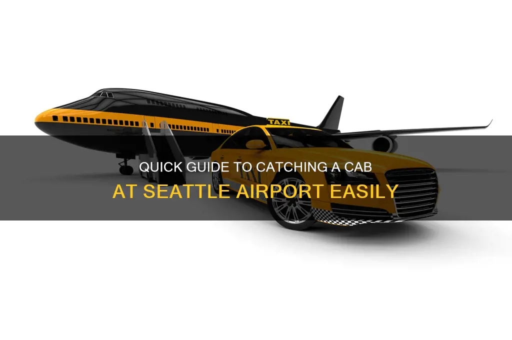 how to get a cab at seattle airport