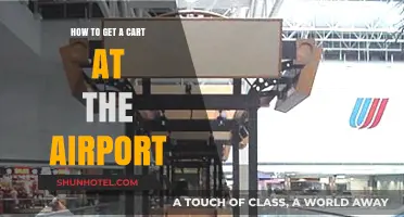 Effortless Airport Navigation: Tips for Securing a Cart Quickly