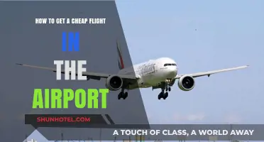 Smart Tips for Scoring Affordable Flights at the Airport