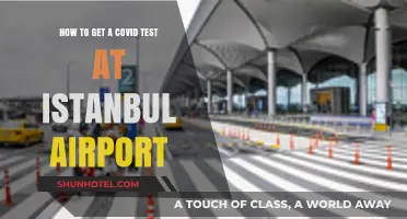 Quick Guide: Getting a COVID Test at Istanbul Airport